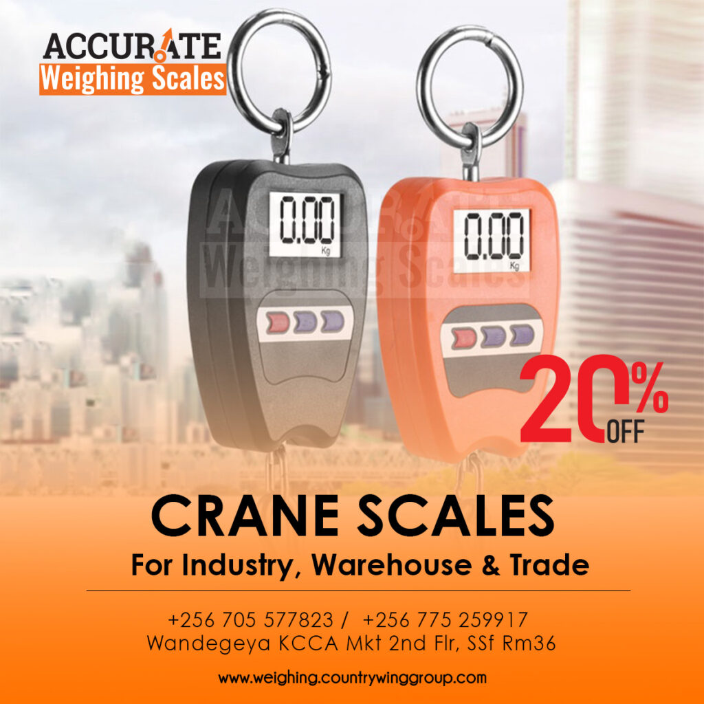 Mini Portable Crane Scale